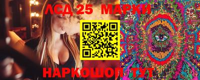 сатива Кинель