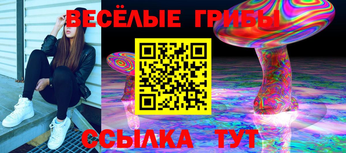 Псилоцибиновые грибы мицелий  Вход с VPN  Галлюциногенные грибы Cubensis  Королёв 