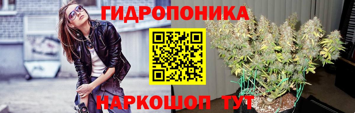 Марихуана MAZAR  Вход с VPN  Бошки Шишки Bruce Banner  Королёв  Бошки марихуана SATIVA & INDICA 