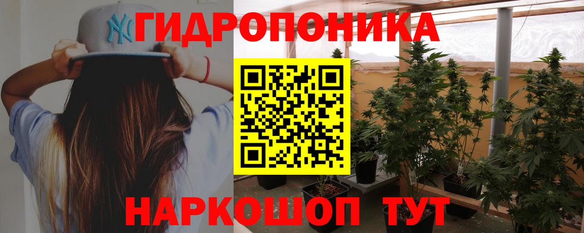 Каннабис гибрид Королёв
